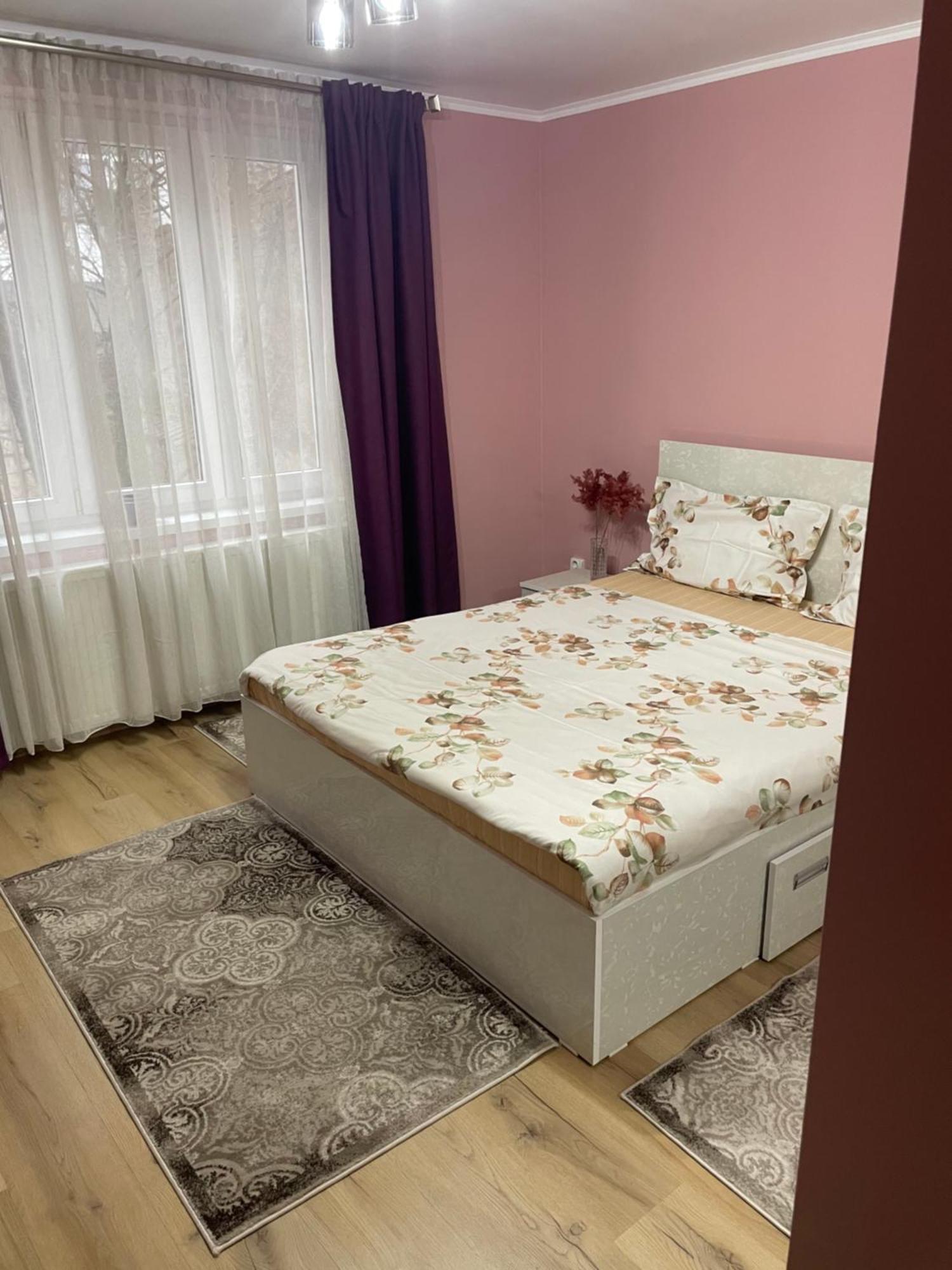 Pretty Luxury Apartament'S كلوج-نابوكا المظهر الخارجي الصورة